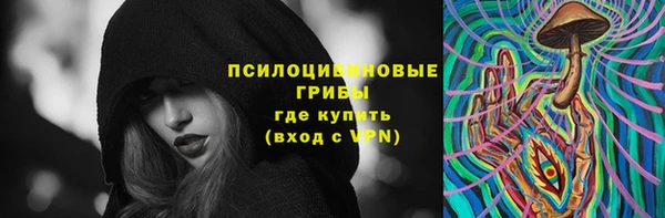 амф Пересвет