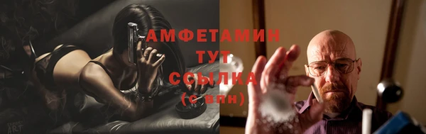 амф Пересвет