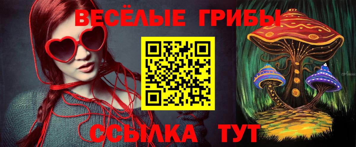 Псилоцибиновые грибы GOLDEN TEACHER Вольск