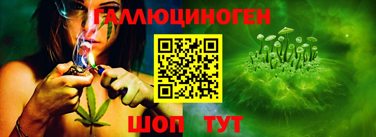Галлюциногенные грибы Psilocybine cubensis  Вход с VPN  Вольск 